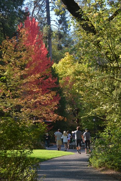 Lithia Park